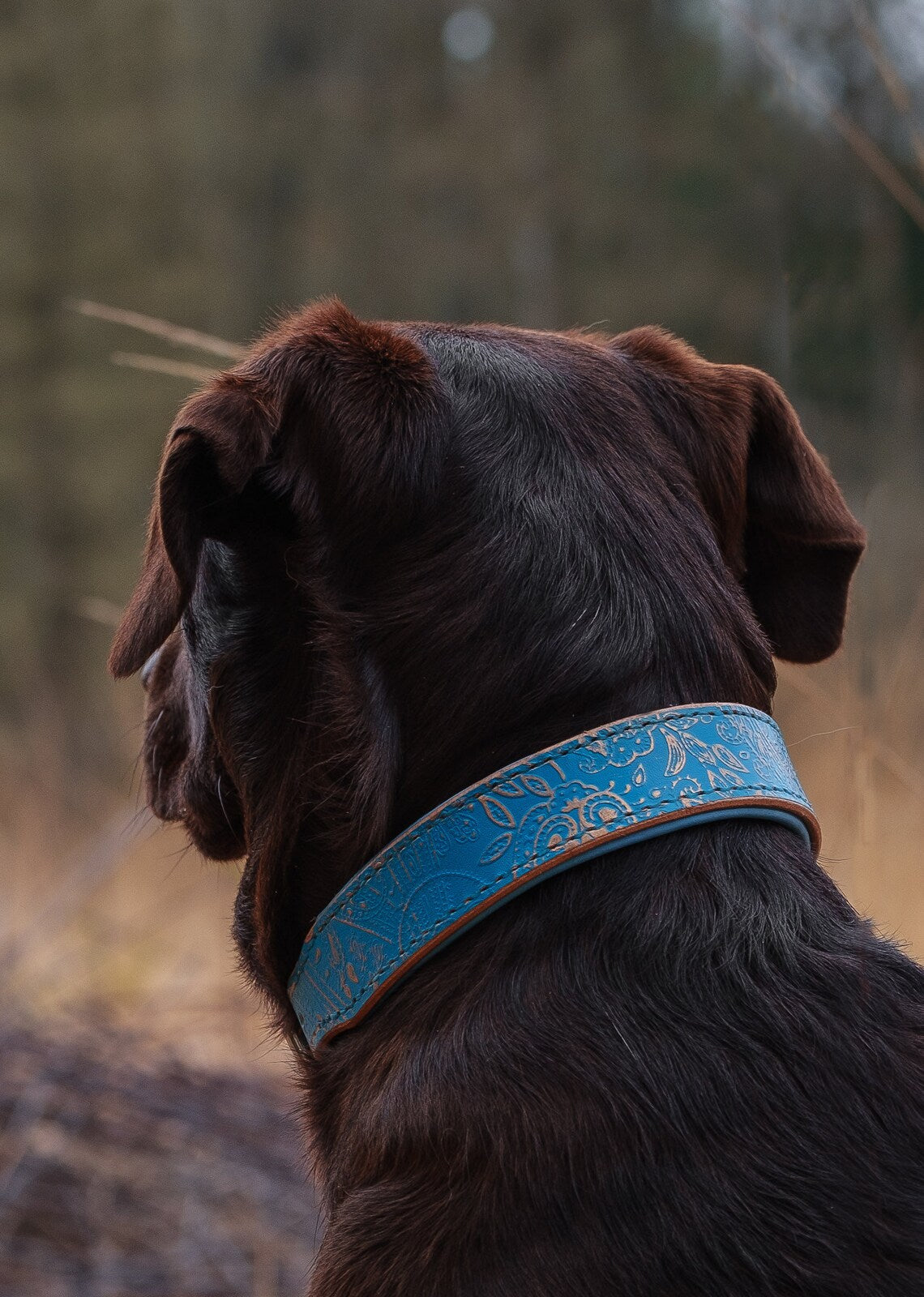 Geprägtes Lederhalsband türkis-gold