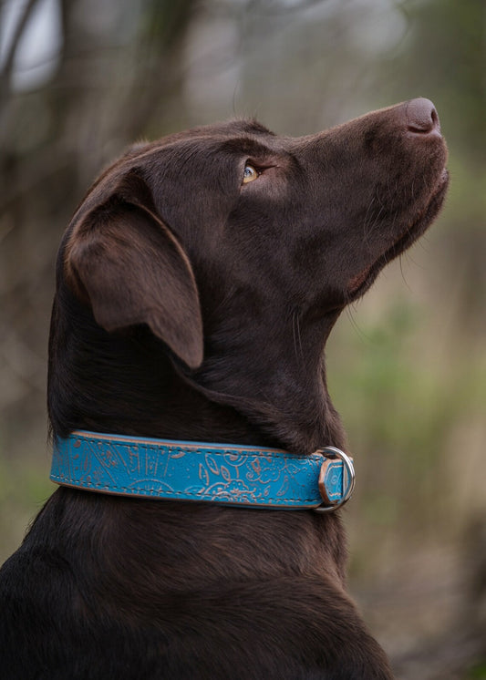 Geprägtes Lederhalsband 38-42cm - türkis-gold