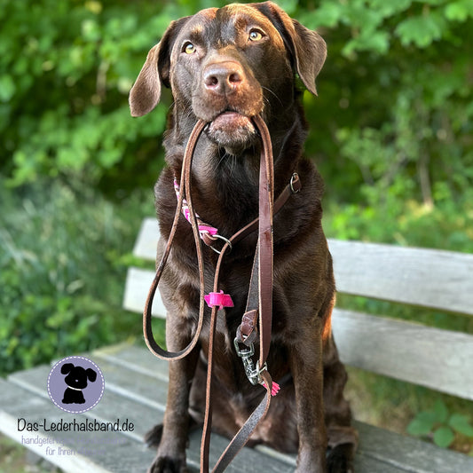 Retrieverleine mit Paracord | Deluxe - Schoko-Pink
