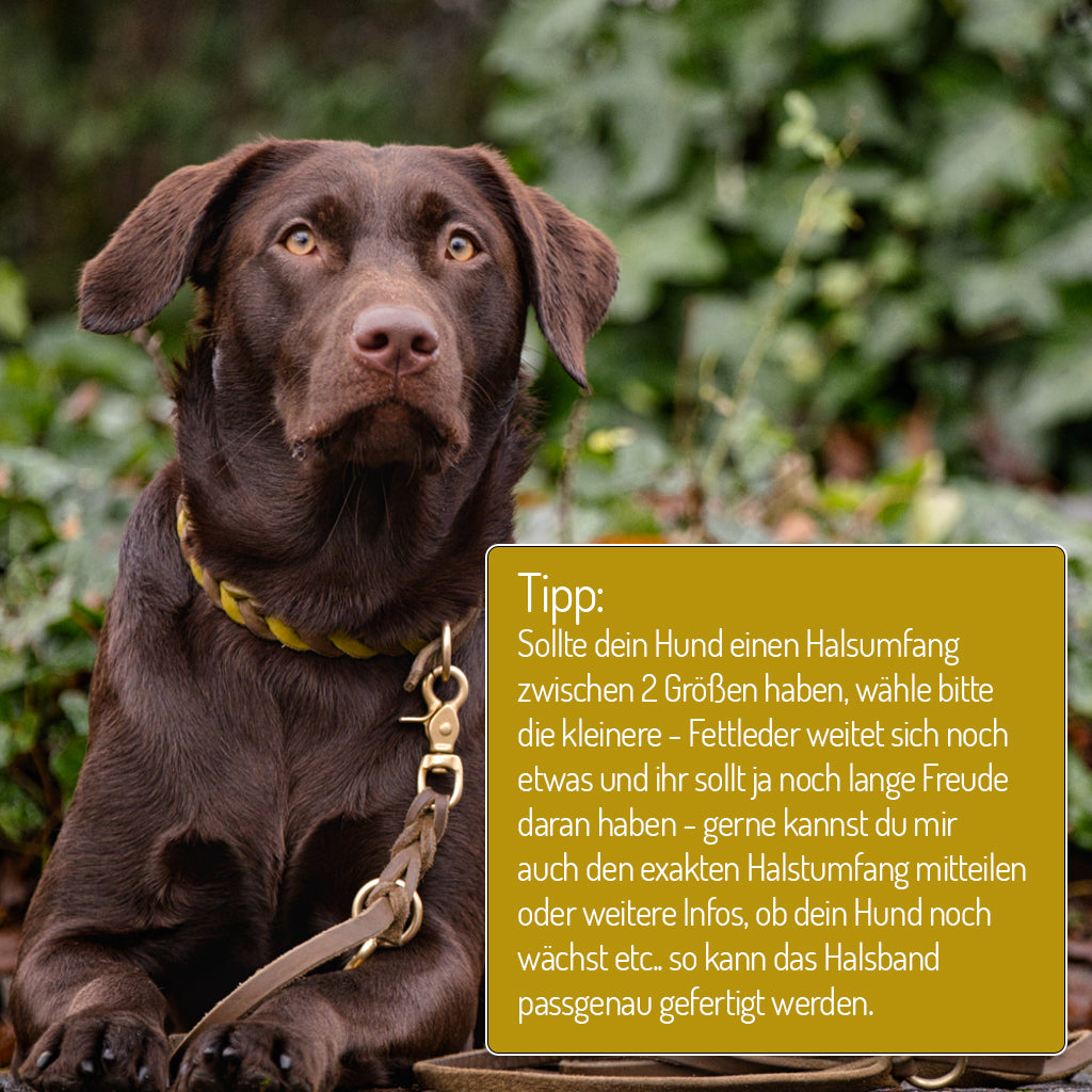 Fettlederhalsband mit Paracord | Deluxe - DesignYourself