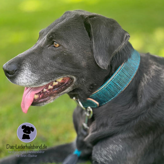 Geprägtes Lederhalsband im Bambus-Style - Türkis