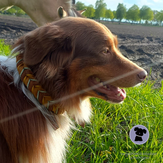 Fettlederhalsband mit Paracord in cognac-creme | Deluxe Edition