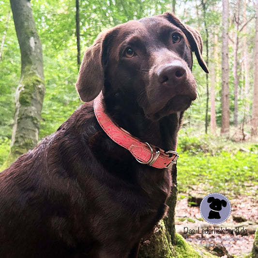 Geprägtes Lederhalsband 43-49cm - rosa-neonpink