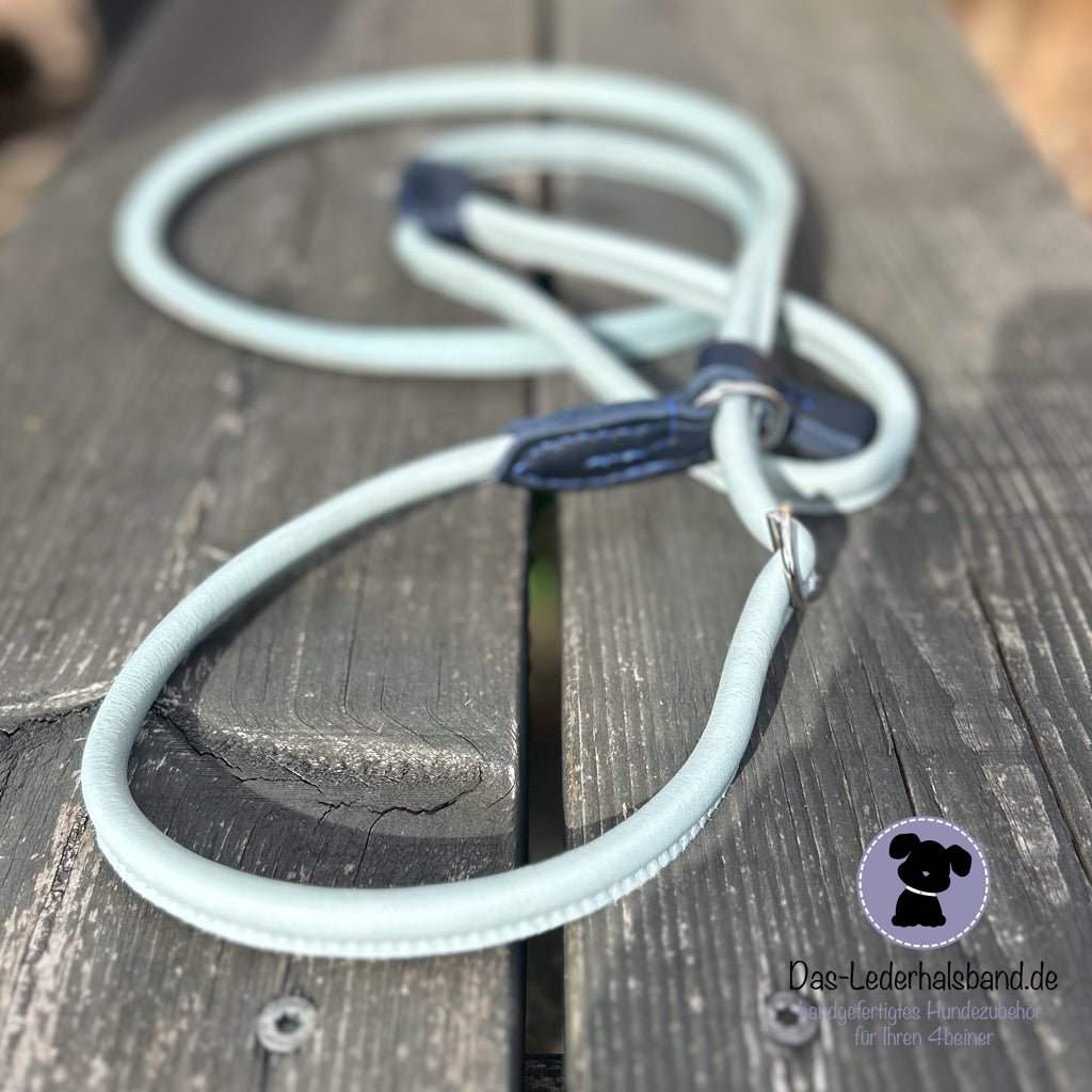 Retrieverleine babyblau-dunkelblau