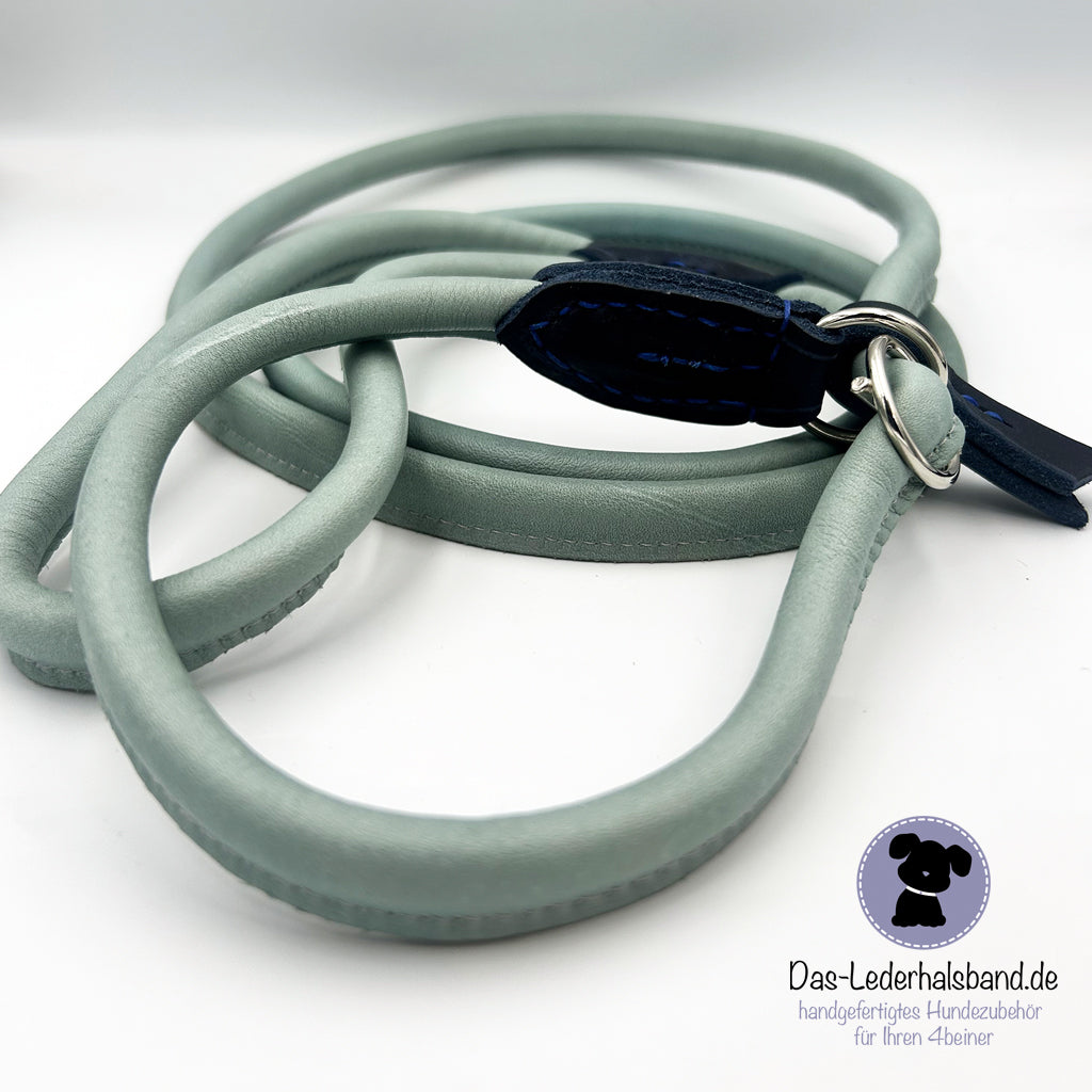 Retrieverleine babyblau-dunkelblau