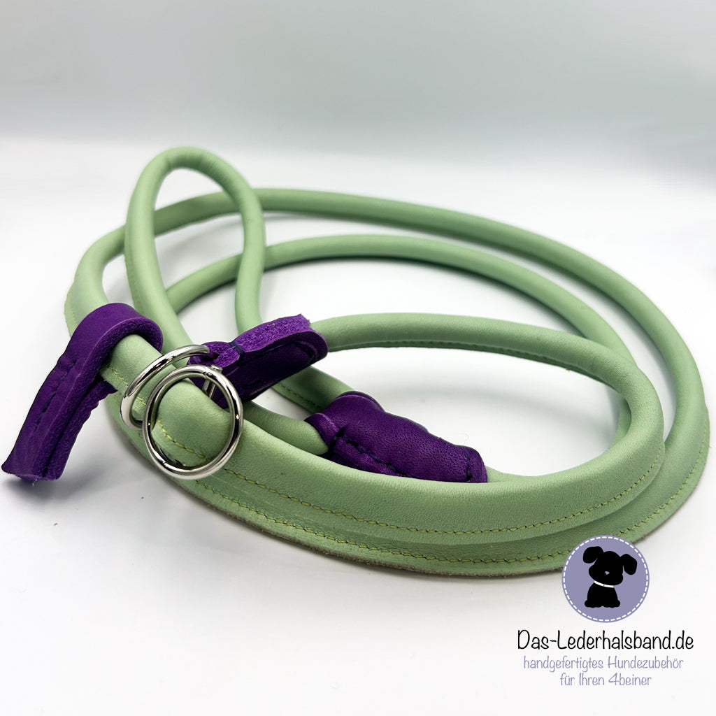 Retrieverleine mint-violett