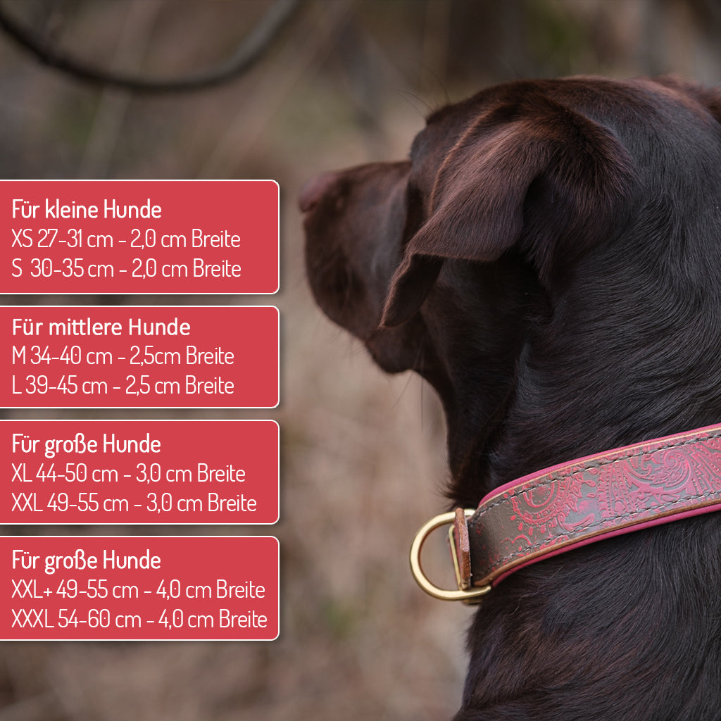 Lederhalsband "Paisley" mint-gold - kleine Hunde