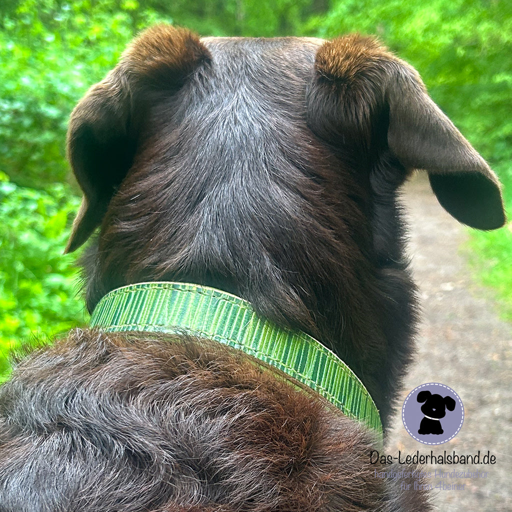 Geprägtes Lederhalsband in Bambus-Grün