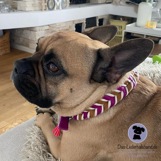Fettlederhalsband mit Paracord purpur-cognac | Deluxe Edition