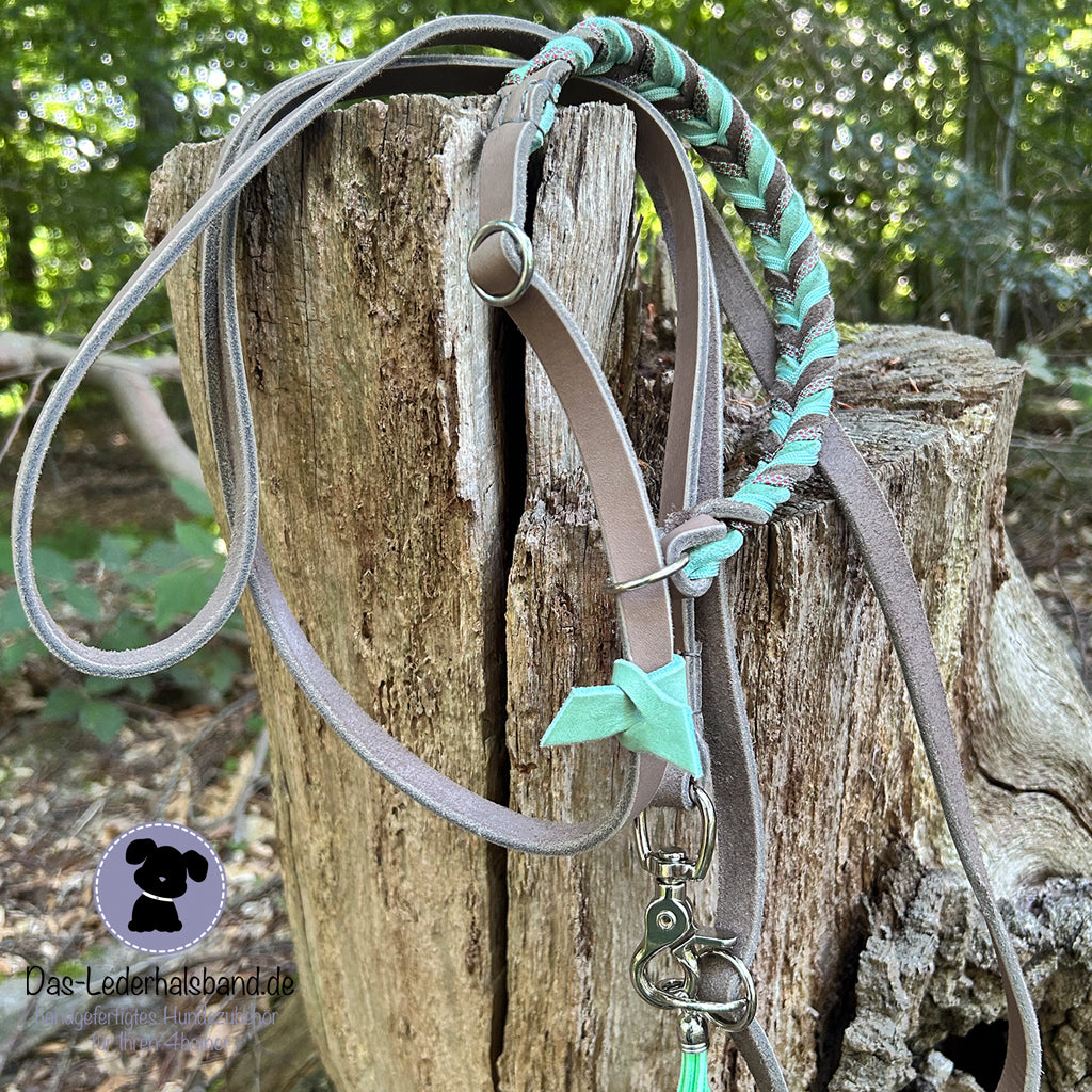 Retrieverleine mit Paracord | Deluxe - Schlamm-Mint