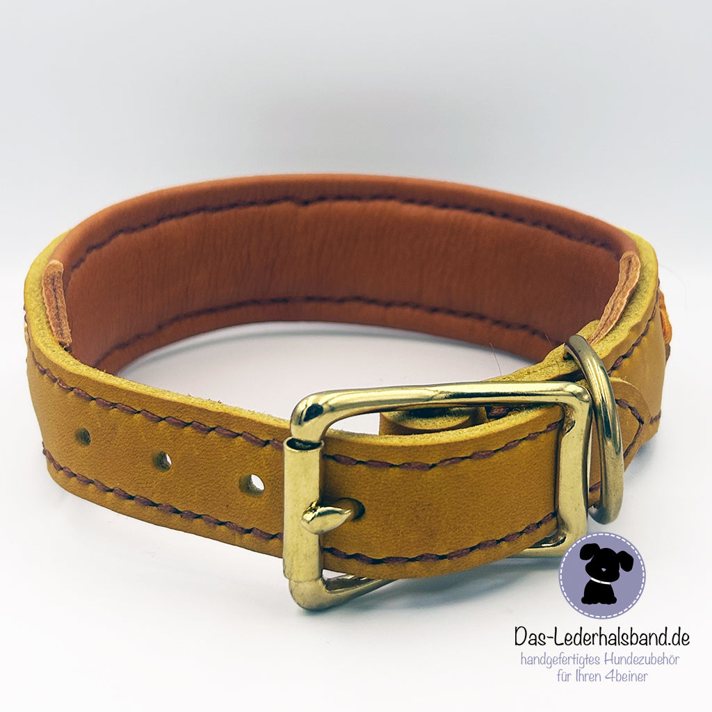 Fettlederhalsband mit Aufflechtung -herbst currygelb Ansicht des Verschlusses