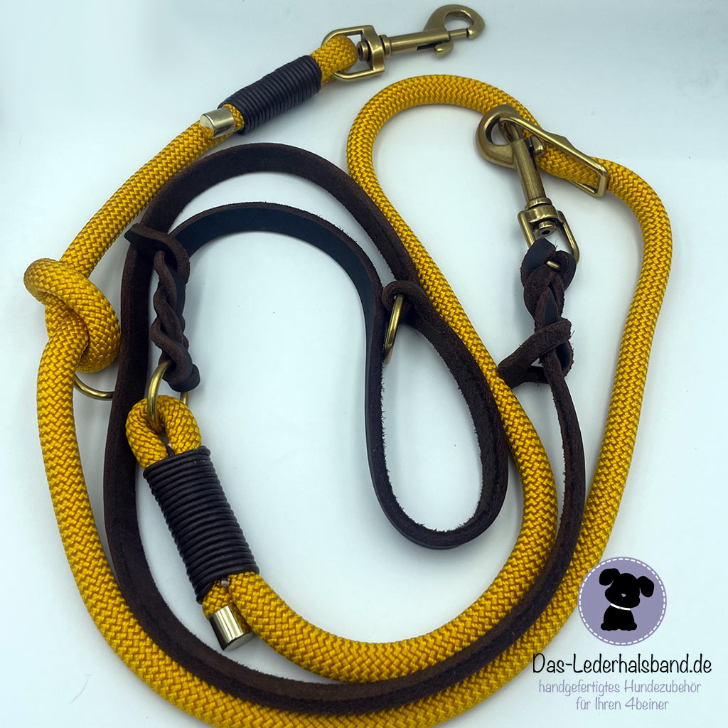 Set | Hundehalsband "Goldi" mit Leine