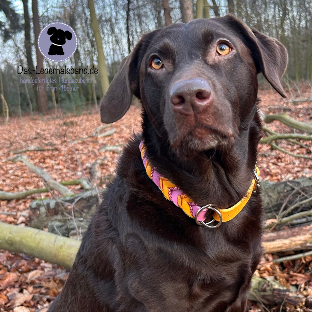 Fettlederhalsband WildeMalve & CurryGelb mit Paracord | Deluxe Edition