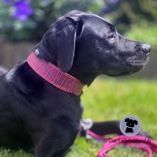 Geprägtes Lederhalsband "Bambus" in Pink