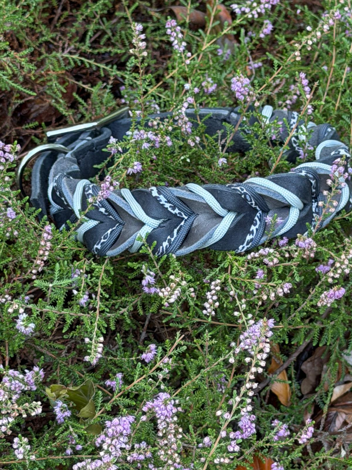 Fettlederhalsband Leo in schwarz