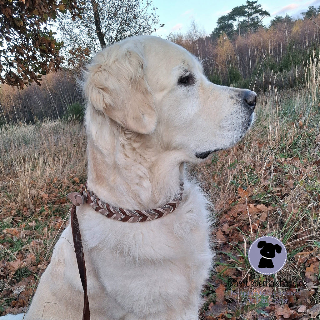 Retrieverleine mit Paracord | Deluxe - Schoko-Schlamm