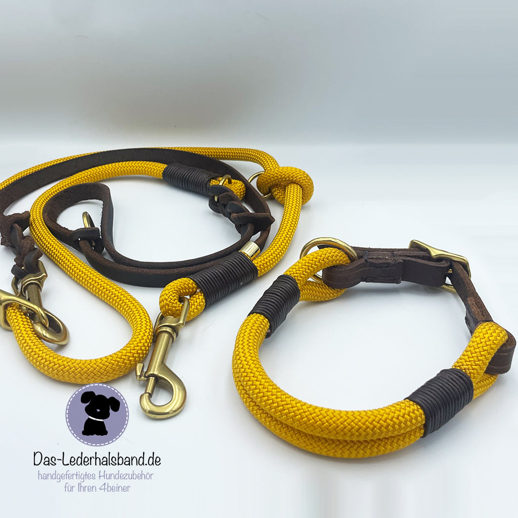 Set | Hundehalsband "Goldi" mit Leine