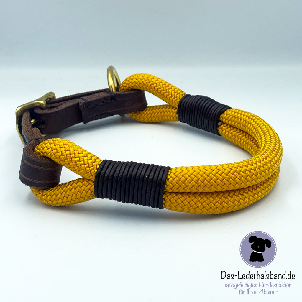 Set | Hundehalsband "Goldi" mit Leine