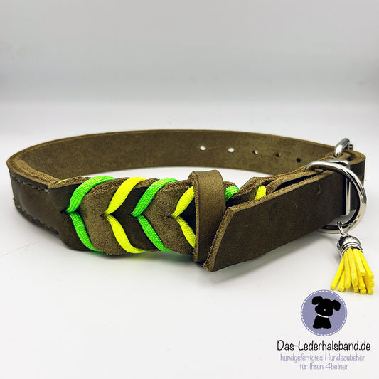 Fettlederhalshalsband PURE+ in oliv mit Paracord - in 4 Größen erhältlich